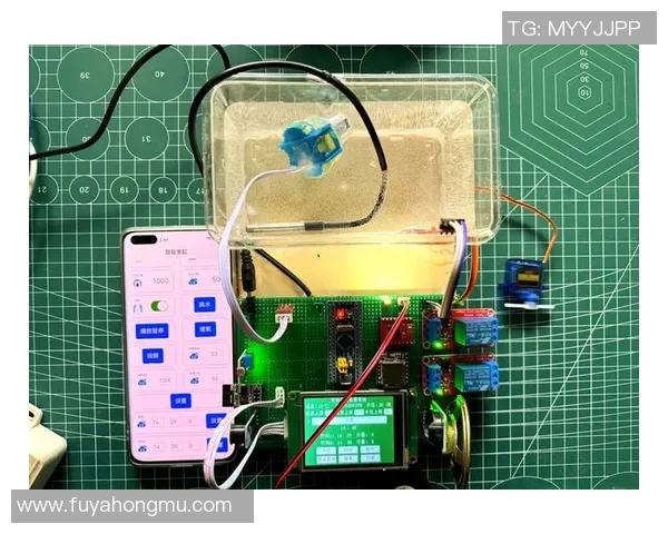 基于ElkADC的高精度信号采集与智能数据处理系统设计研究 基于ElkADC的高精度信号采集与智能数据处理系统设计研究