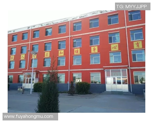 篮球巨星风云录:从街头少年到世界舞台的辉煌征程 篮球巨星风云录:从街头少年到世界舞台的辉煌征程