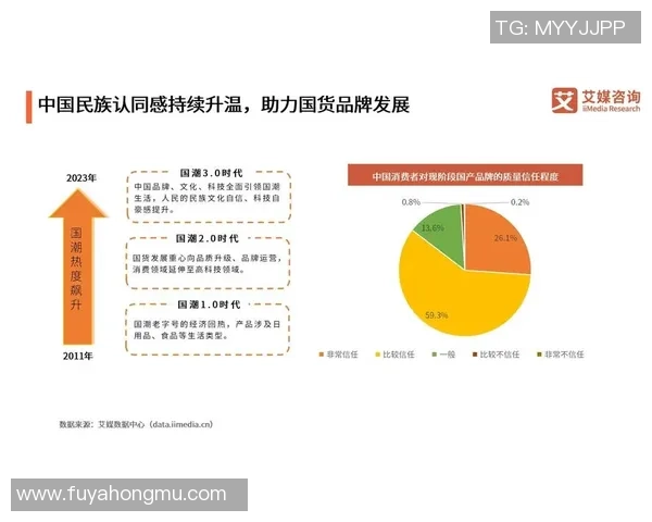 聚焦当代足球运动员成长轨迹与赛场表现全面深度剖析趋势研究洞察
