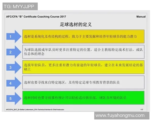 足球的魅力与挑战：全球赛场上的技术对决与战术创新